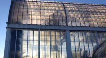 The Palm House in one of Gothenburg's parks. Tropical greenhouse you can visit and walk through.