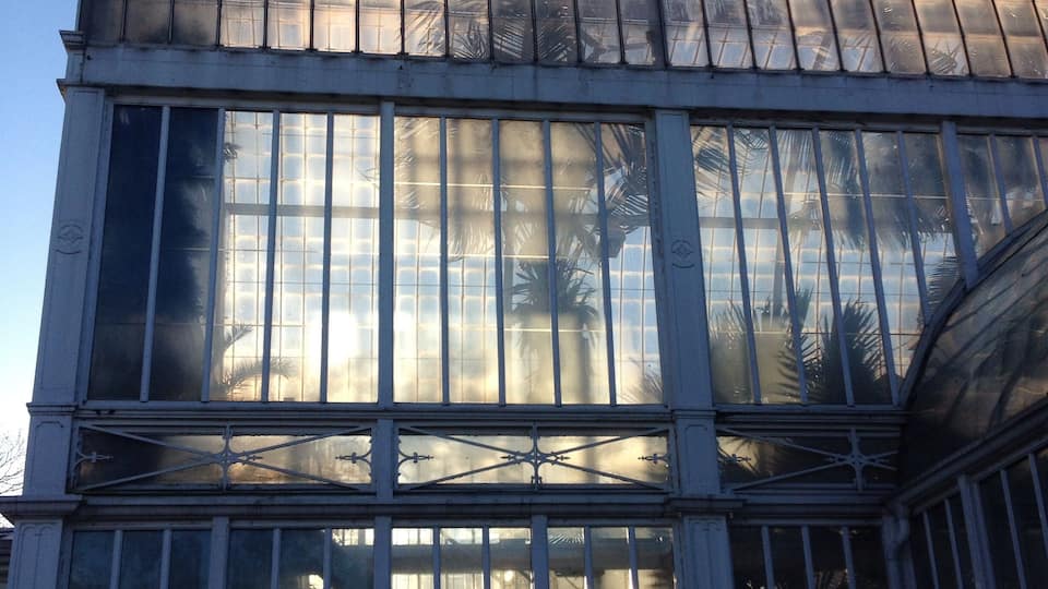 The Palm House in one of Gothenburg's parks. Tropical greenhouse you can visit and walk through.