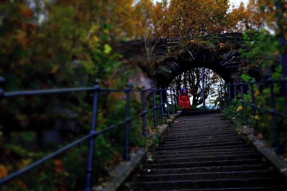 Climb up for the great panoramic view of Gothenburg.