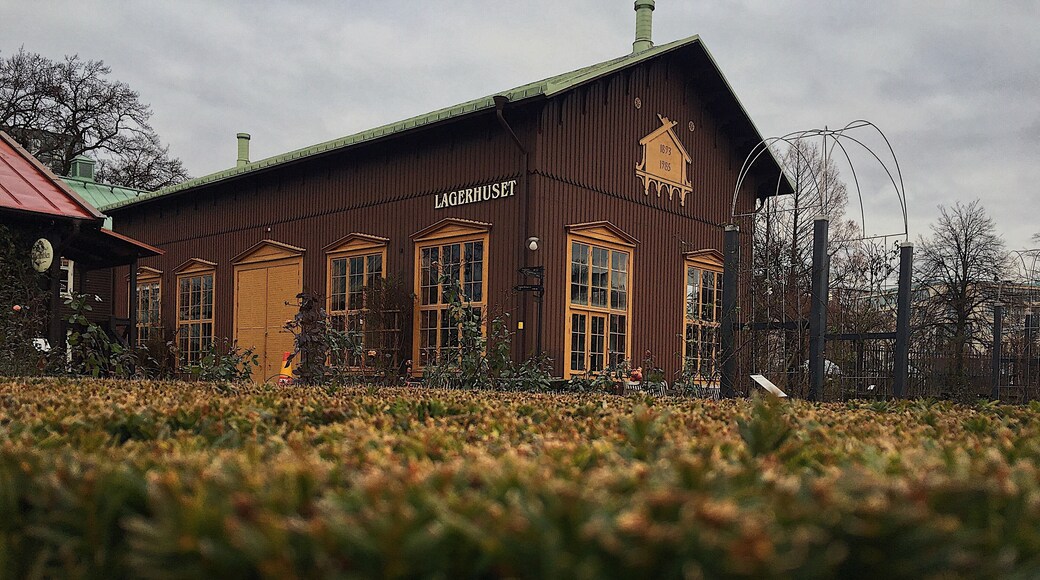 The Botanical Garden in Gothenburg is one of the largest and most beautiful in Europe