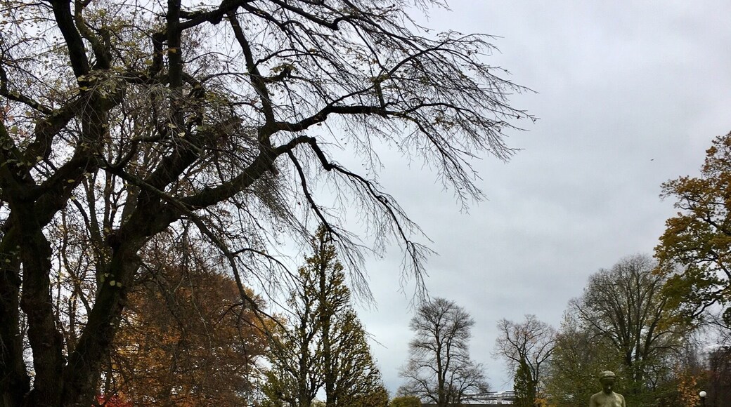 Local park.
Gothenburg
Sweden