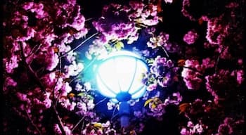 ํฌ๋กํฌ์ฌ๋ผํธ