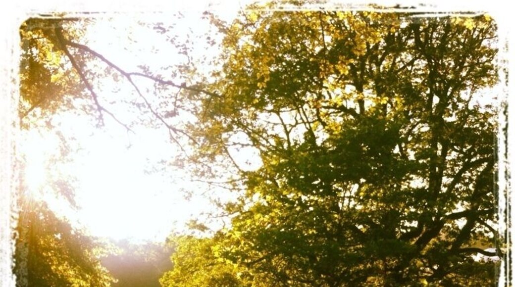 Way Out West is one of the best musicfestivals I've been to!