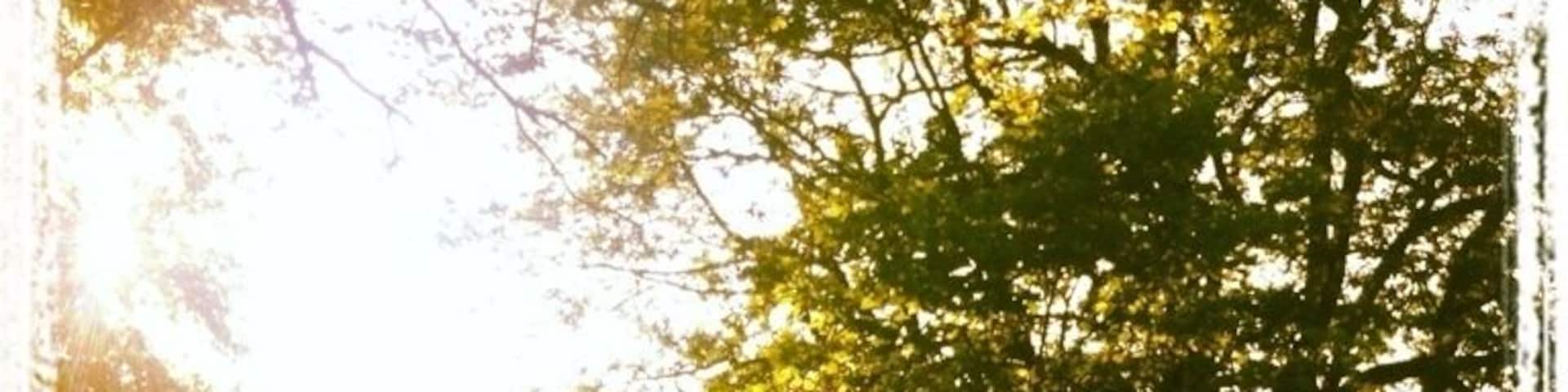 Way Out West is one of the best musicfestivals I've been to!