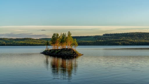 idyllic lake landscape with a small island with trees under a cloudless blue sky