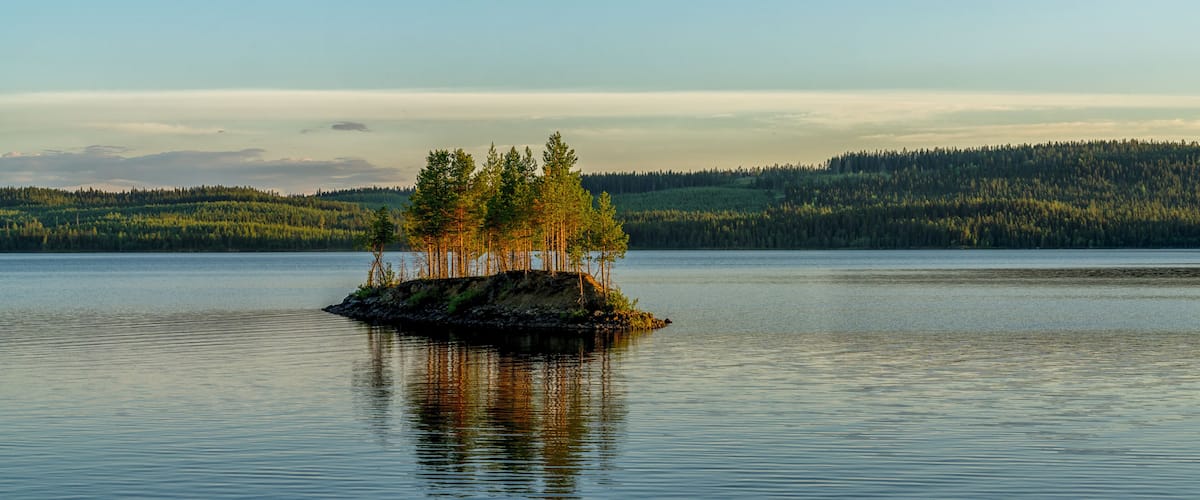 A calm lake with a small island of trees in the center.