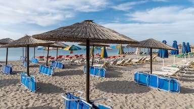 Uma praia com guarda-sóis, espreguiçadeiras e uma faixa de areia.