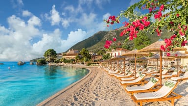 A beach with sun loungers, clear blue water, and a mountain in the background.