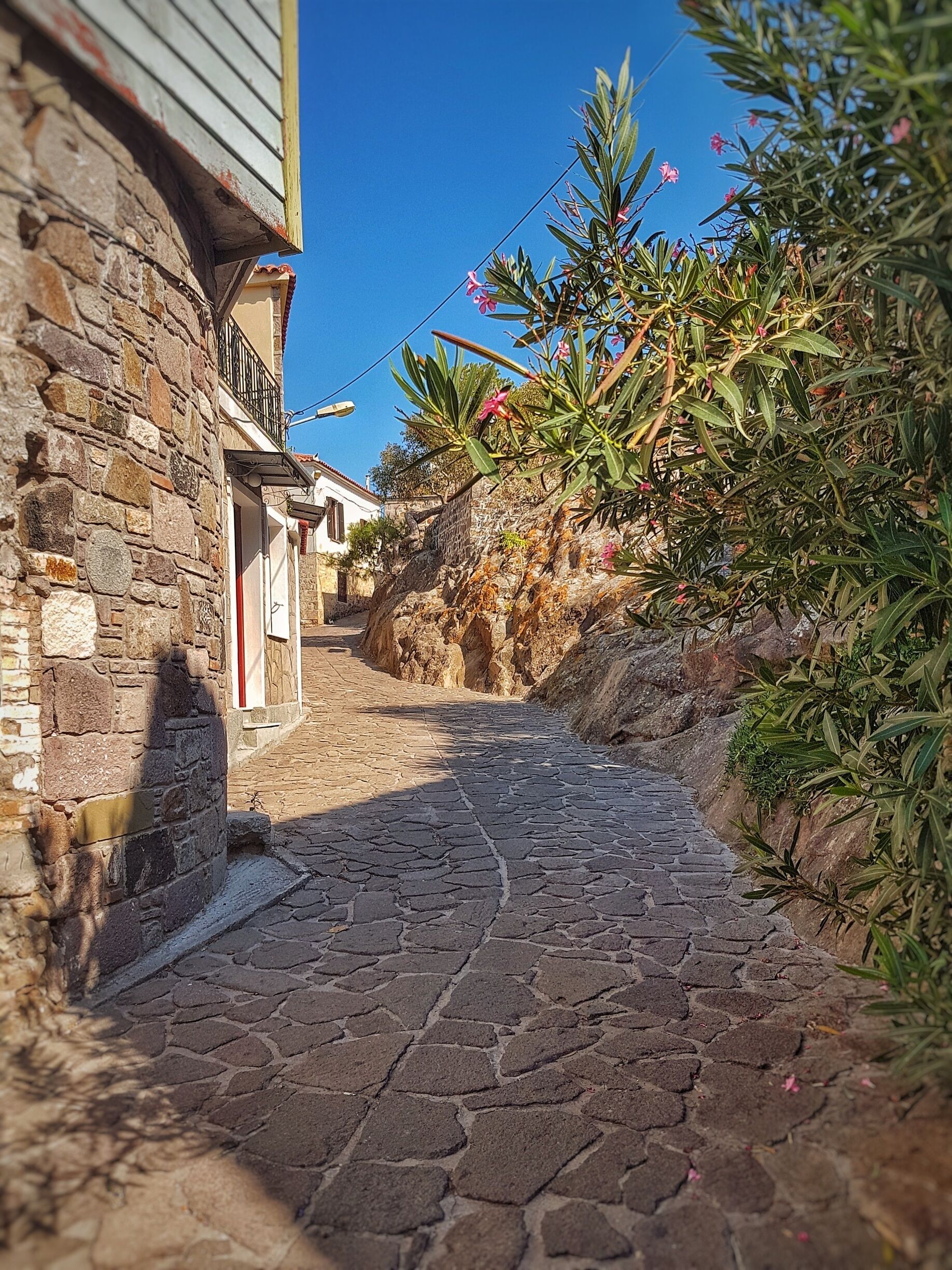 #picturesque #narrowstreet at #petra #village on #lesbos #island, #Greece. 