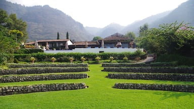 Beautiful Gardens at this hotel. You can pay to go in to see the gardens or eat at the restuarant then see the gardens for free. Very nice hotel too.