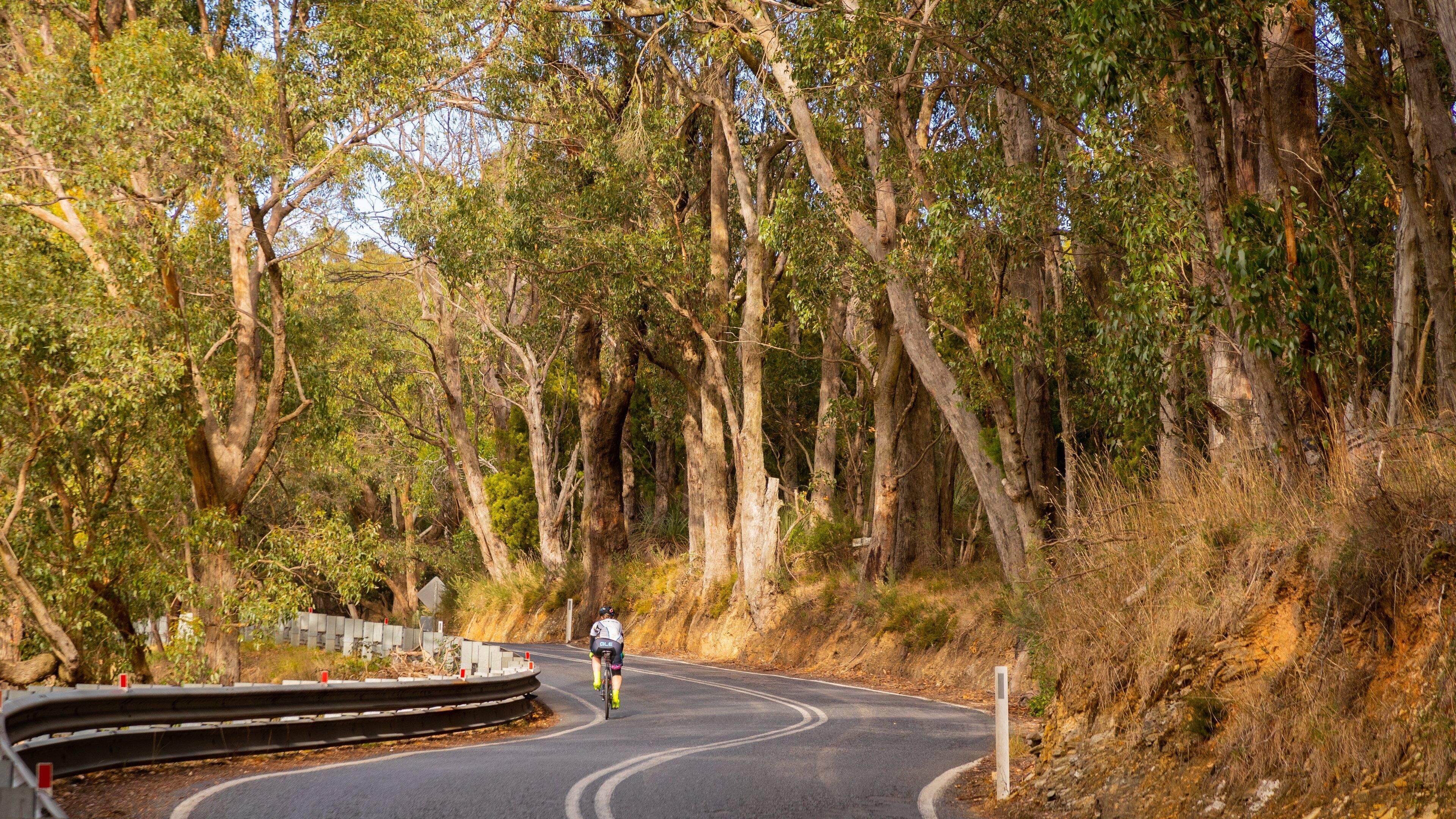 Crafers which includes tranquil scenes and road cycling as well as an individual male