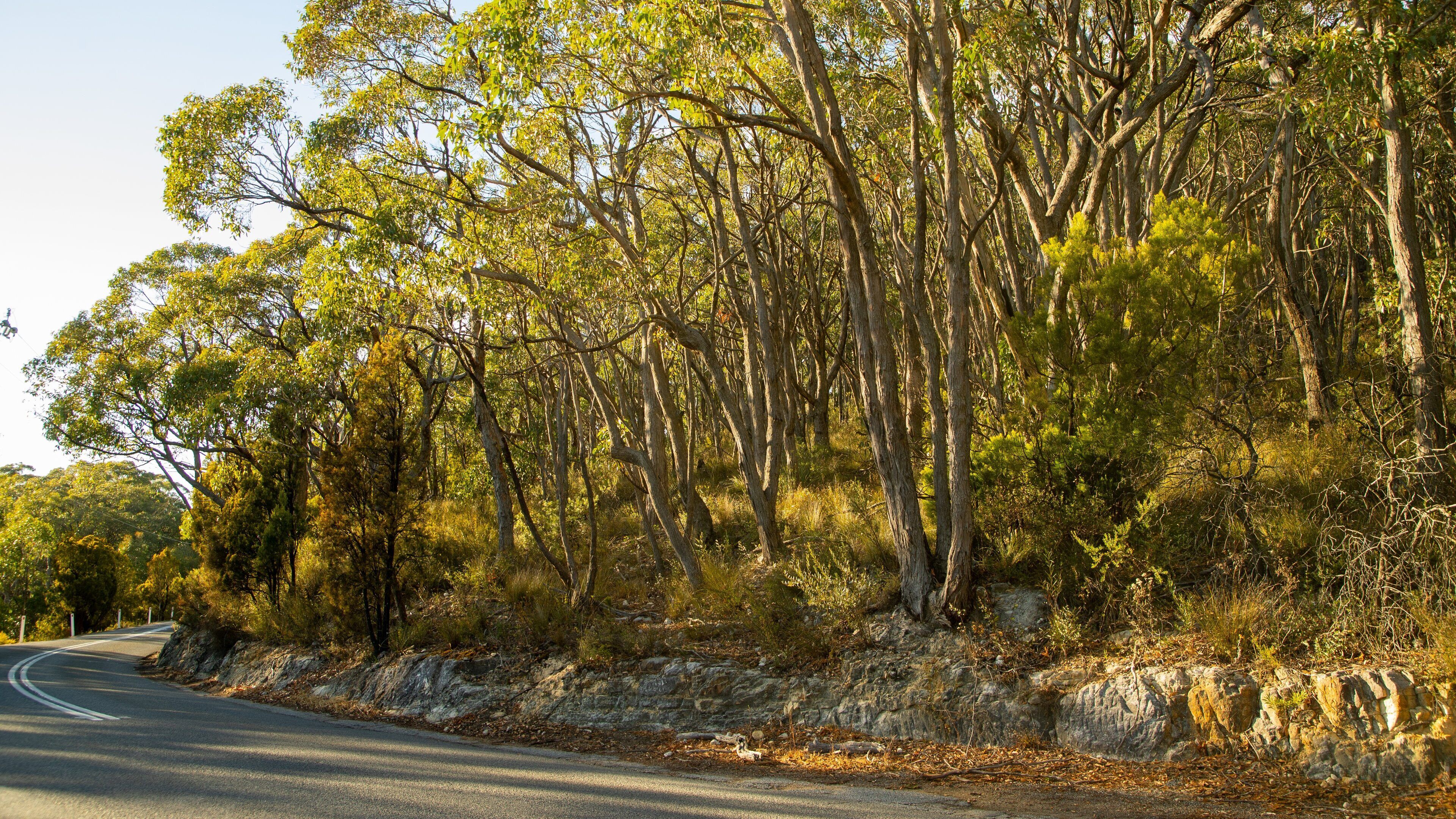 Crafers featuring tranquil scenes