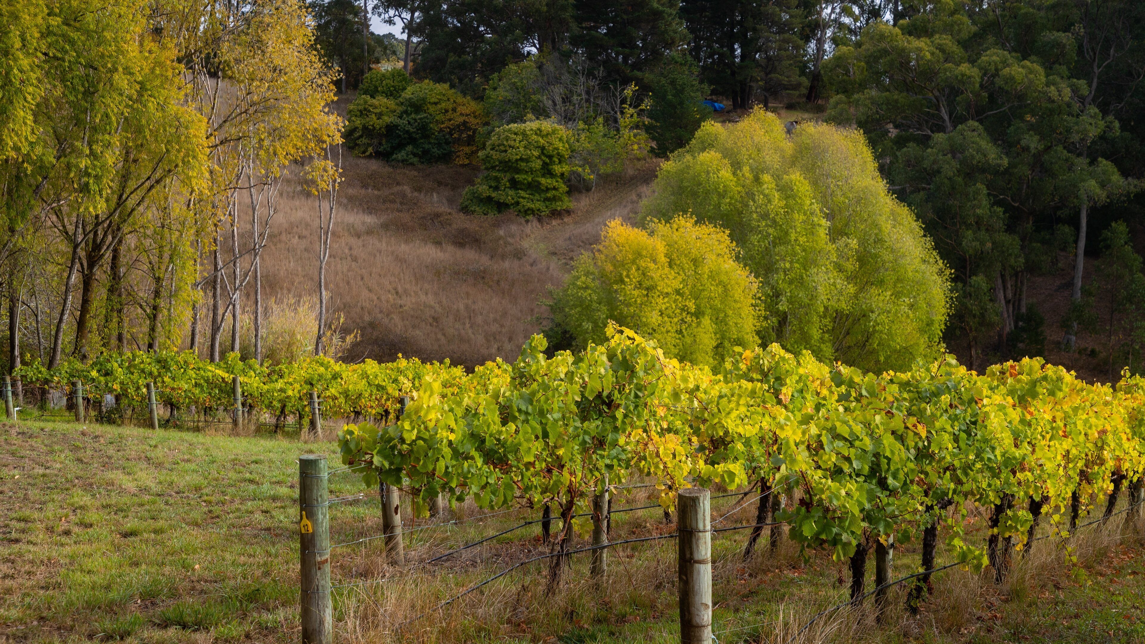 Crafers showing farmland