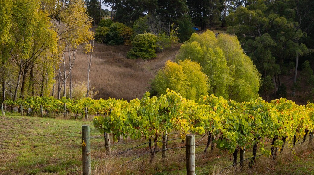 Crafers showing farmland