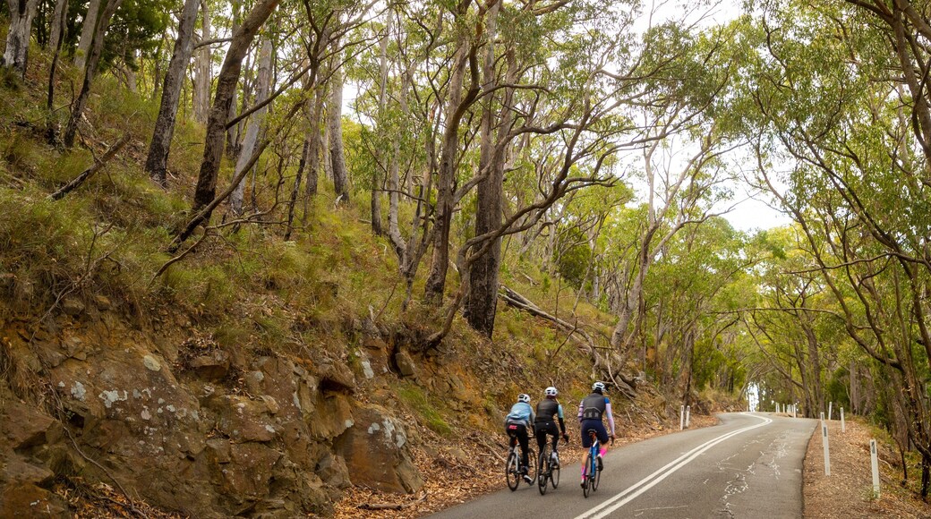 Crafers featuring road cycling and tranquil scenes as well as a small group of people
