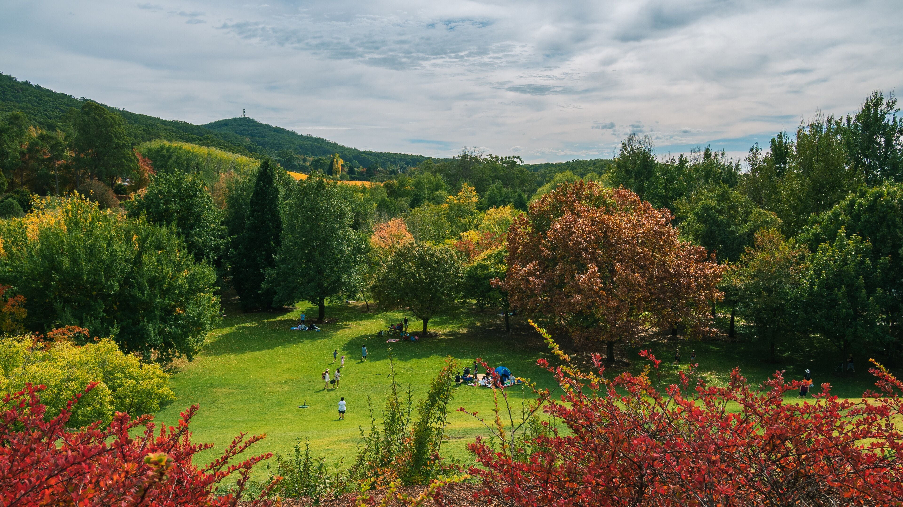 Beautiful autumn colours at the Mount Lofty Botanic Gardens over the Easter long weekend
#autumn #adelaide #australia #botanicalgardens #landscape