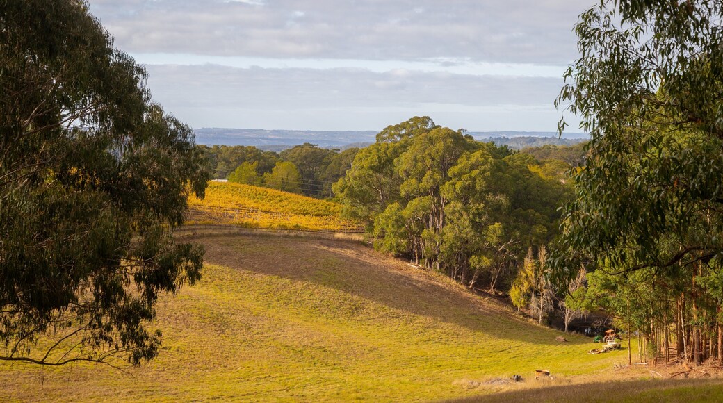 Crafers which includes tranquil scenes