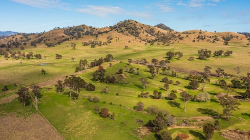 Nundle featuring tranquil scenes and landscape views