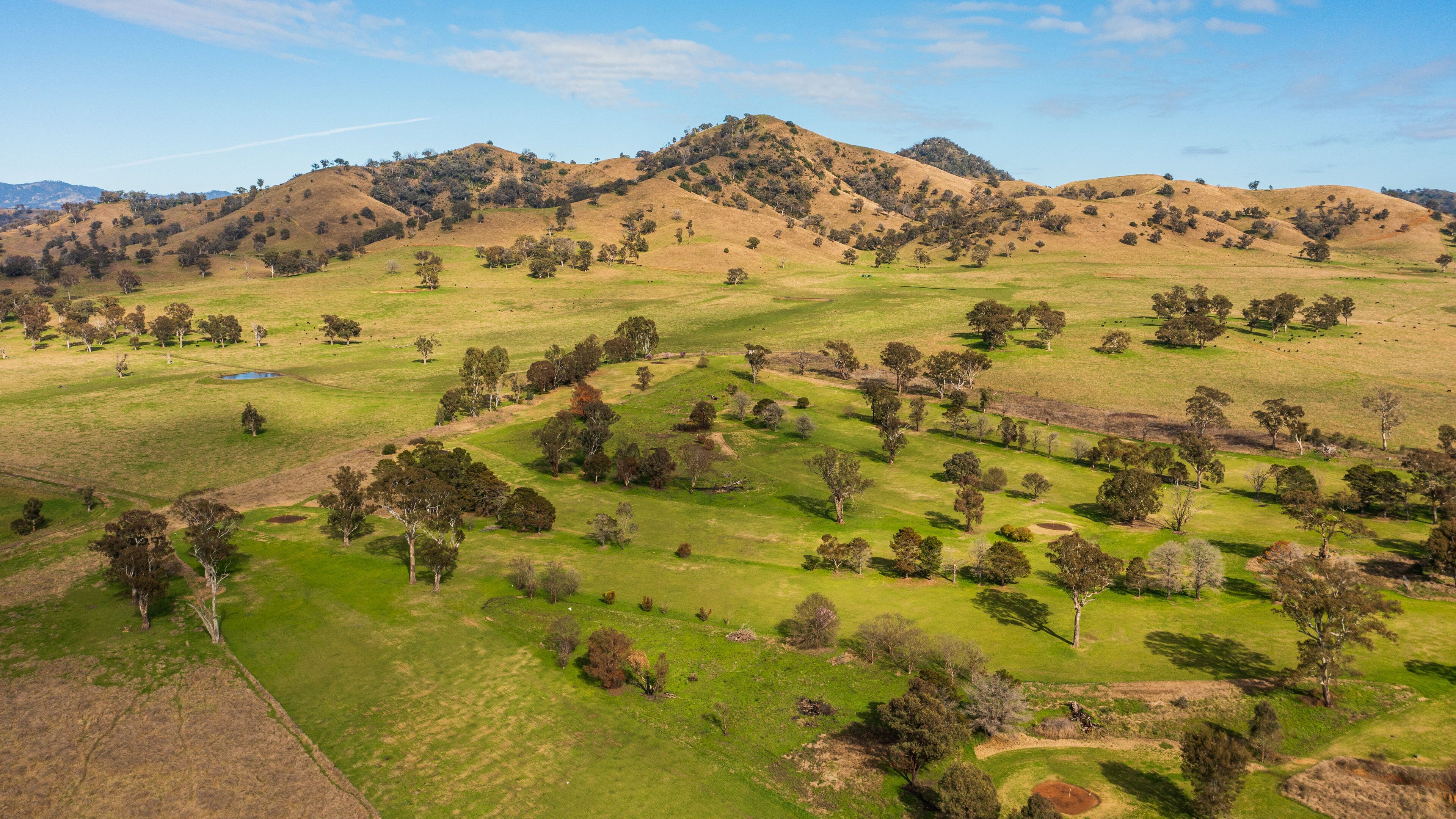 A hilly landscape with scattered trees and a clear sky.