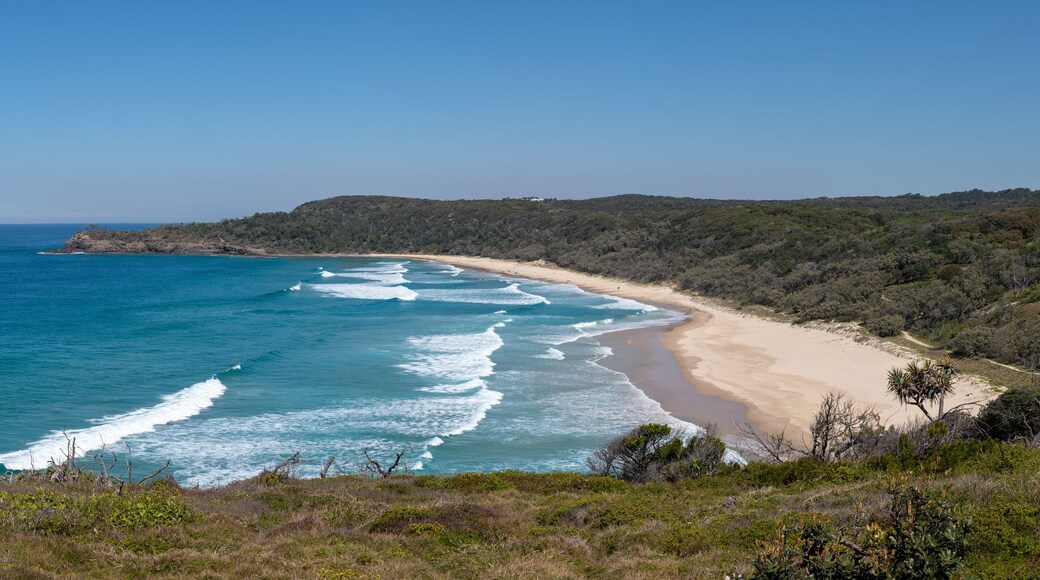 Alexandra Bay, Noosa National Park