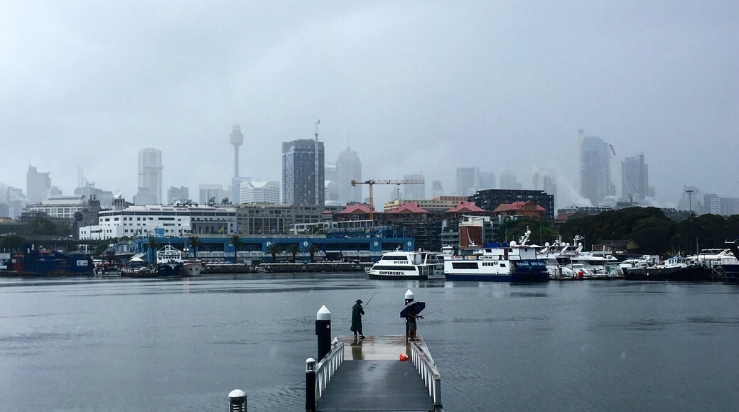 View of Sydney on a rainy day. #sydney #australia