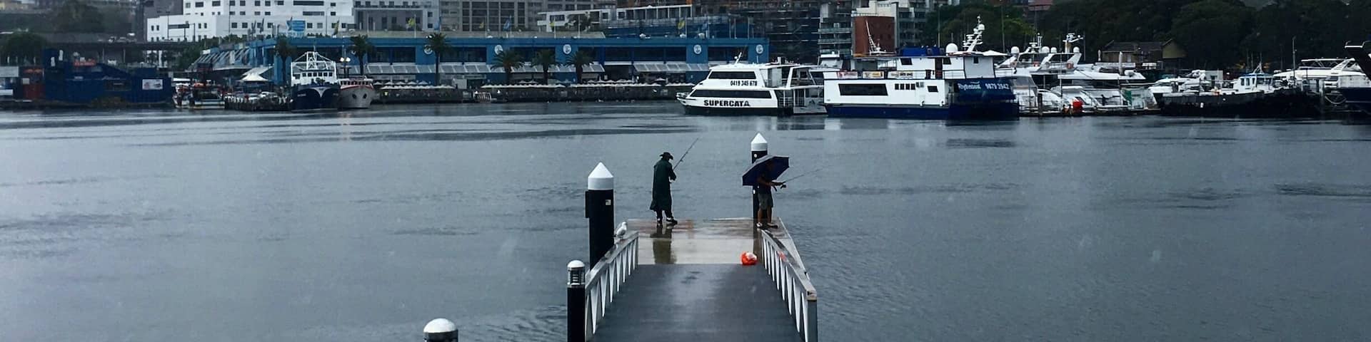View of Sydney on a rainy day. #sydney #australia
