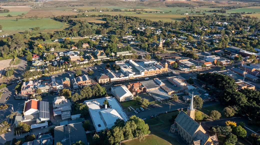 The New South Wales town of Muswellbrook .