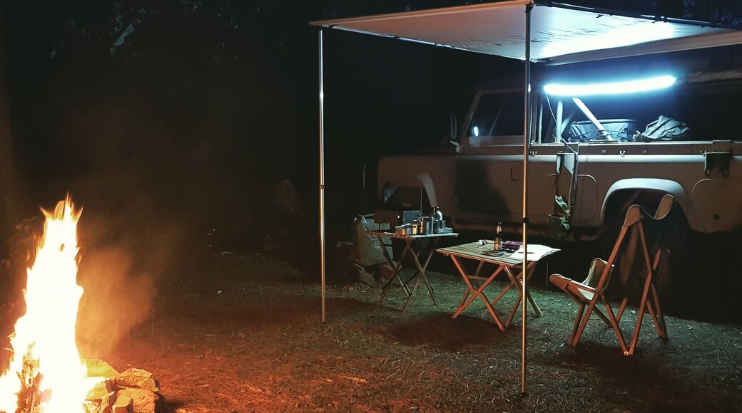 Swaggin' it in style at the Penrose State Forest.
Usually it's a little too close to home to spend a night out there, so I hadn't spent much time exploring. Turns out it's well worth the drive, since there are some fantastic bush camping sites not far off the beaten track and it's much quieter than the nearby Wingello State Forest, which is a bit of a mecca for mountainbikers. However, unlike Wingello, there are zero facilities so take a shovel.
Plenty of wildlife too if you're looking for some of our more iconic Aussie critters such as wallabies, kangaroos and koalas. If you're patient and quiet you'll no doubt spot a bunch of native animals.
Definitely worth a visit if you're travelling between Sydney and Canberra or Melbourne and need a quick, free overnight stop.
#localknowledge
#penrosestateforest
#bushcamping
#landrover
#swag
#swagginit