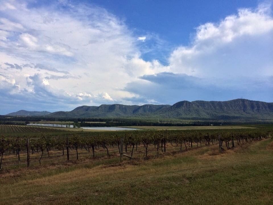 Just another superb day in the vineyards 🍷