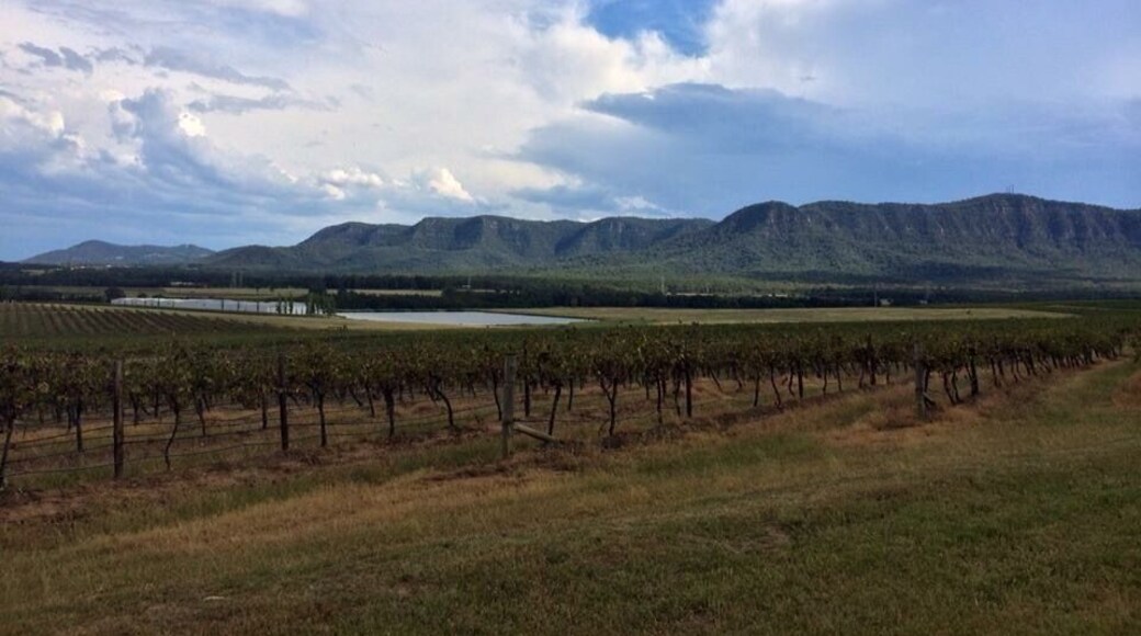 Just another superb day in the vineyards ๐ท