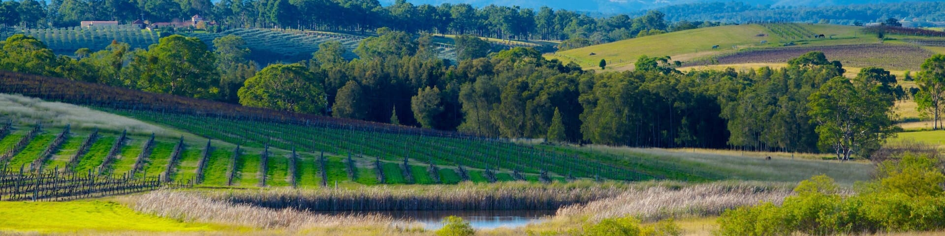 New South Wales featuring farmland and landscape views