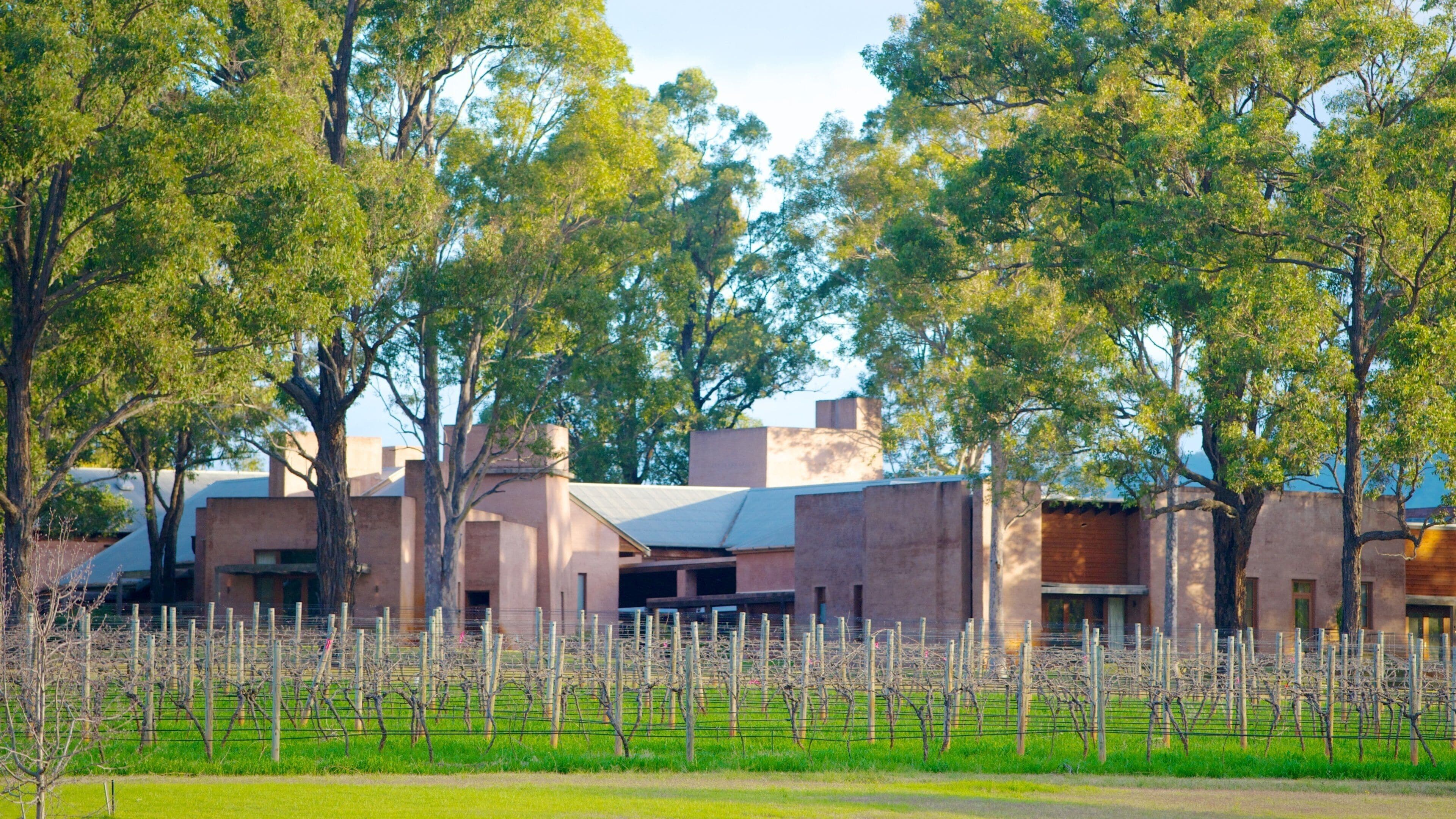 Pokolbin montrant terre agricole, une petite ville ou un village et un jardin