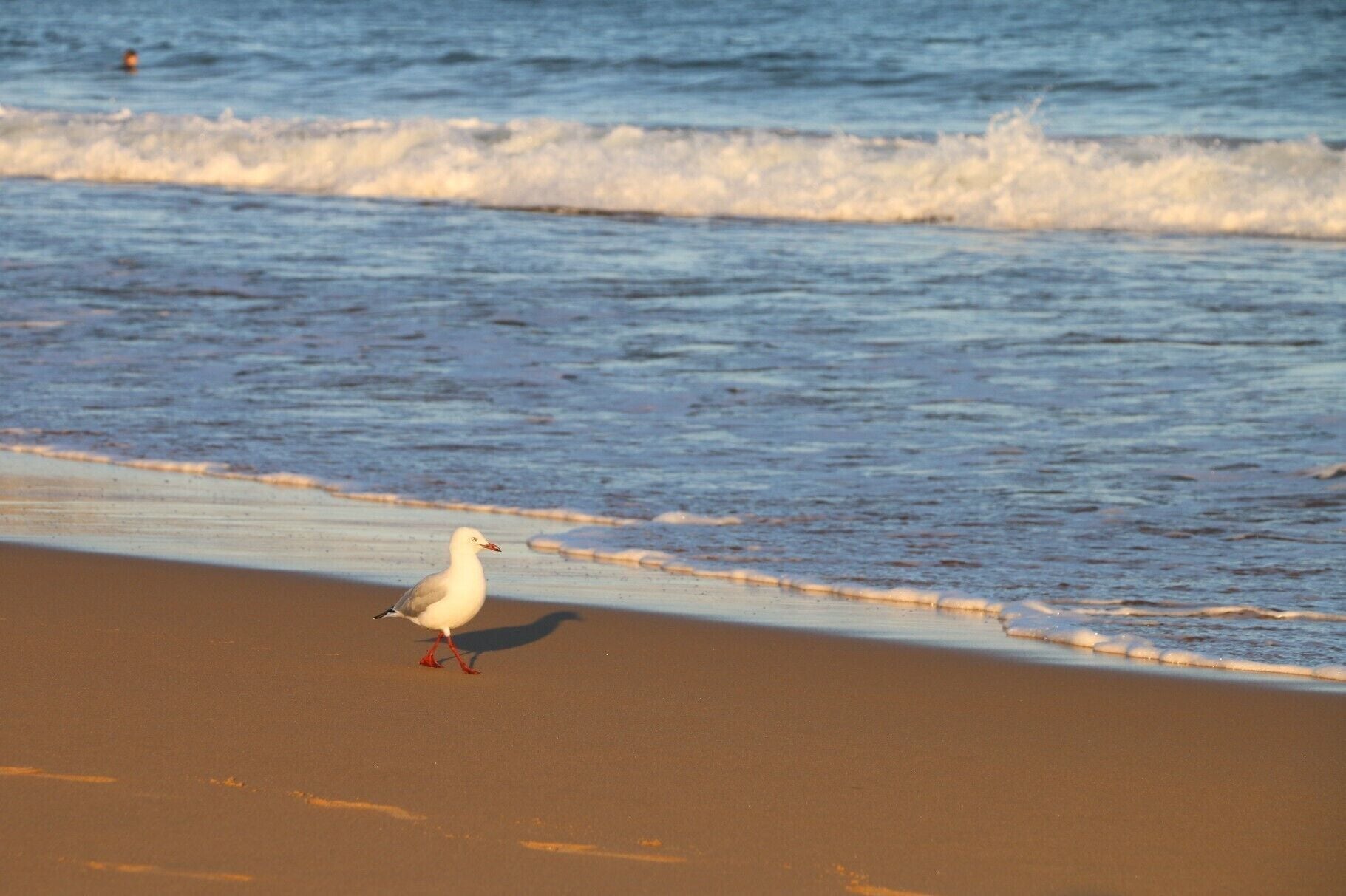Everyone likes a walk on the beach.

#PrettyBeach #HiddenGems #LifeAtExpedia
