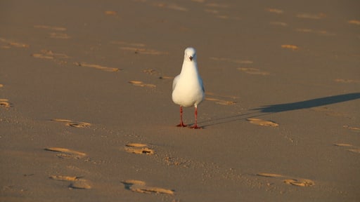 #InvadingMyPrivacy #LetMeRelax
#PrettyBeach
#LifeAtExpedia