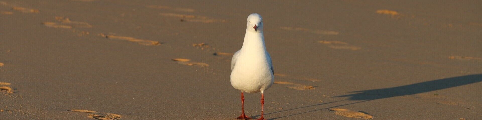 #InvadingMyPrivacy #LetMeRelax
#PrettyBeach
#LifeAtExpedia