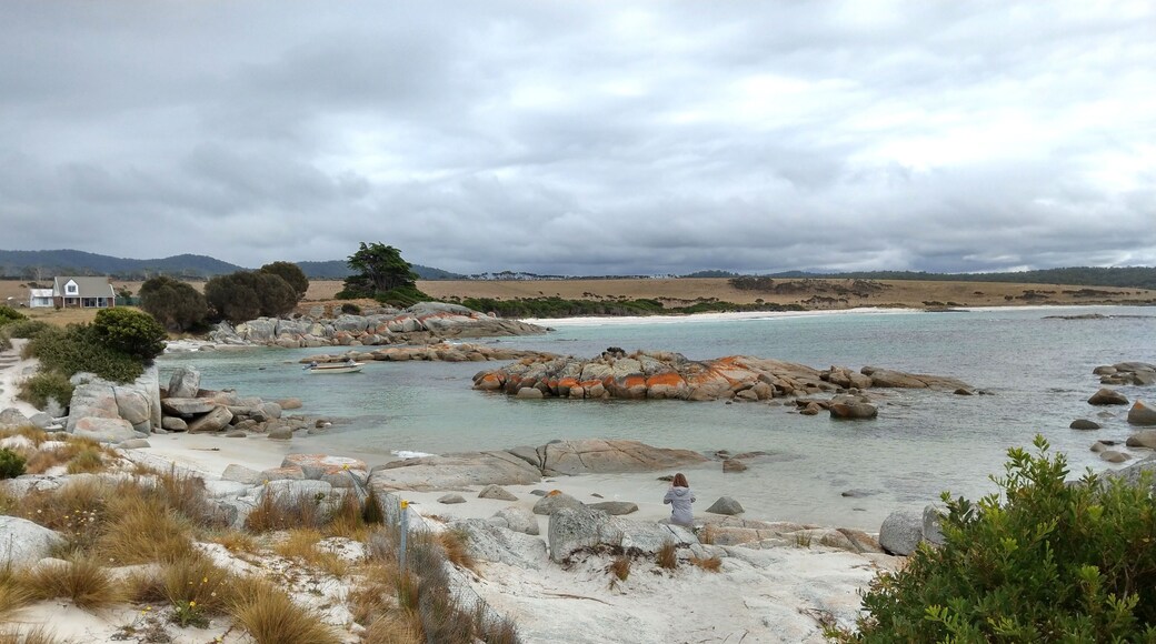 Thị trấn Tea Gardens