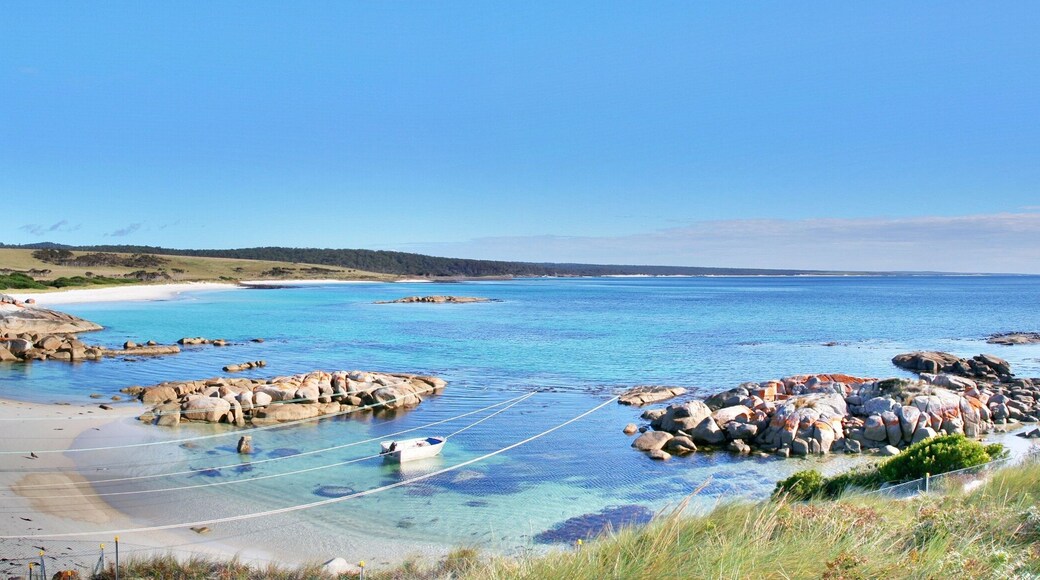 Thị trấn Tea Gardens