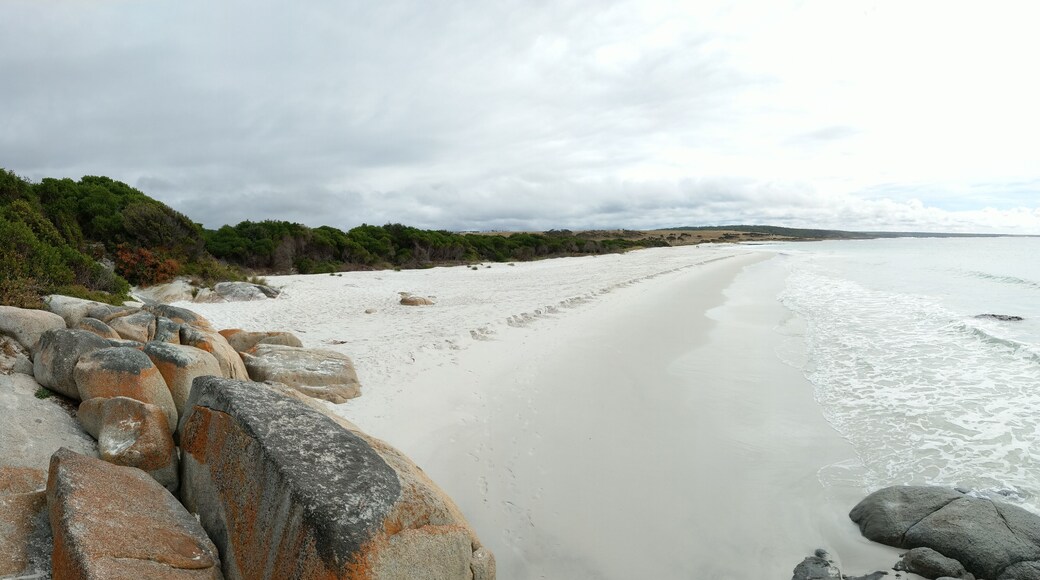 Thị trấn Tea Gardens