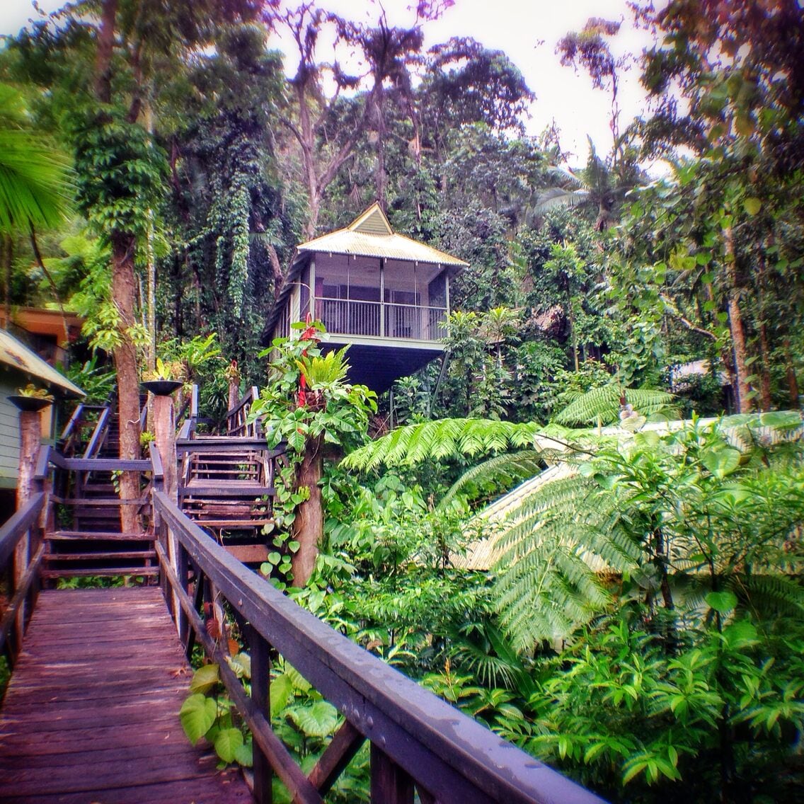 The Daintree Ecolodge is an amazing property located in the Daintree Rainforest in northern Queensland, Australia. The oldest rainforest in the world, it's really amazing to sleep high among the trees, listening to the local birdsong and the rain showers.