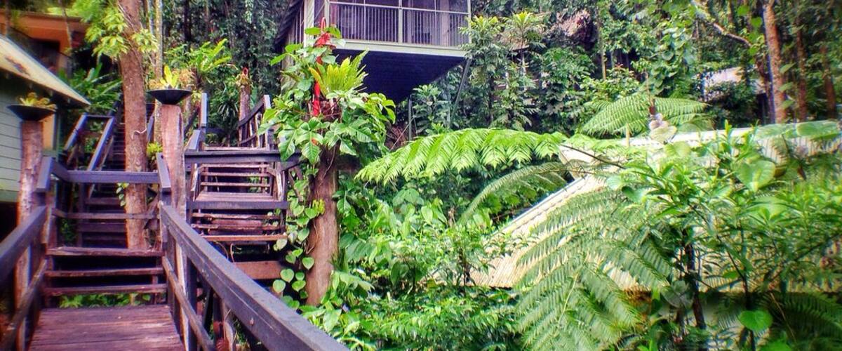 The Daintree Ecolodge is an amazing property located in the Daintree Rainforest in northern Queensland, Australia. The oldest rainforest in the world, it's really amazing to sleep high among the trees, listening to the local birdsong and the rain showers.