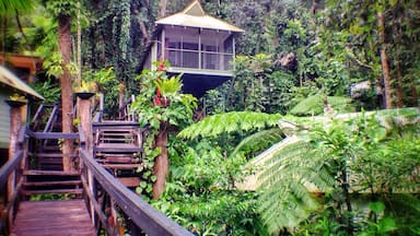 Thị trấn Daintree