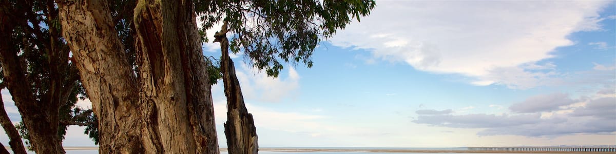 A coastal landscape with large rocks, a tree, and a distant pier.