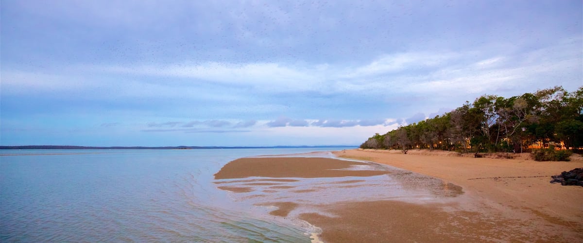 A beach with clear water, a sandy shore, and a line of trees.