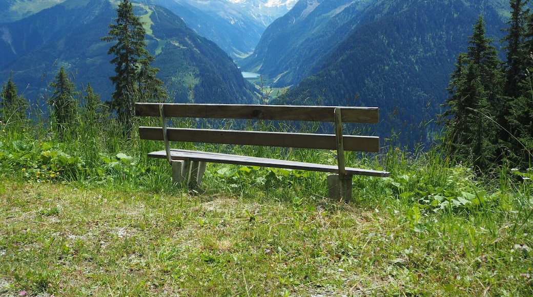 View from a mountain.