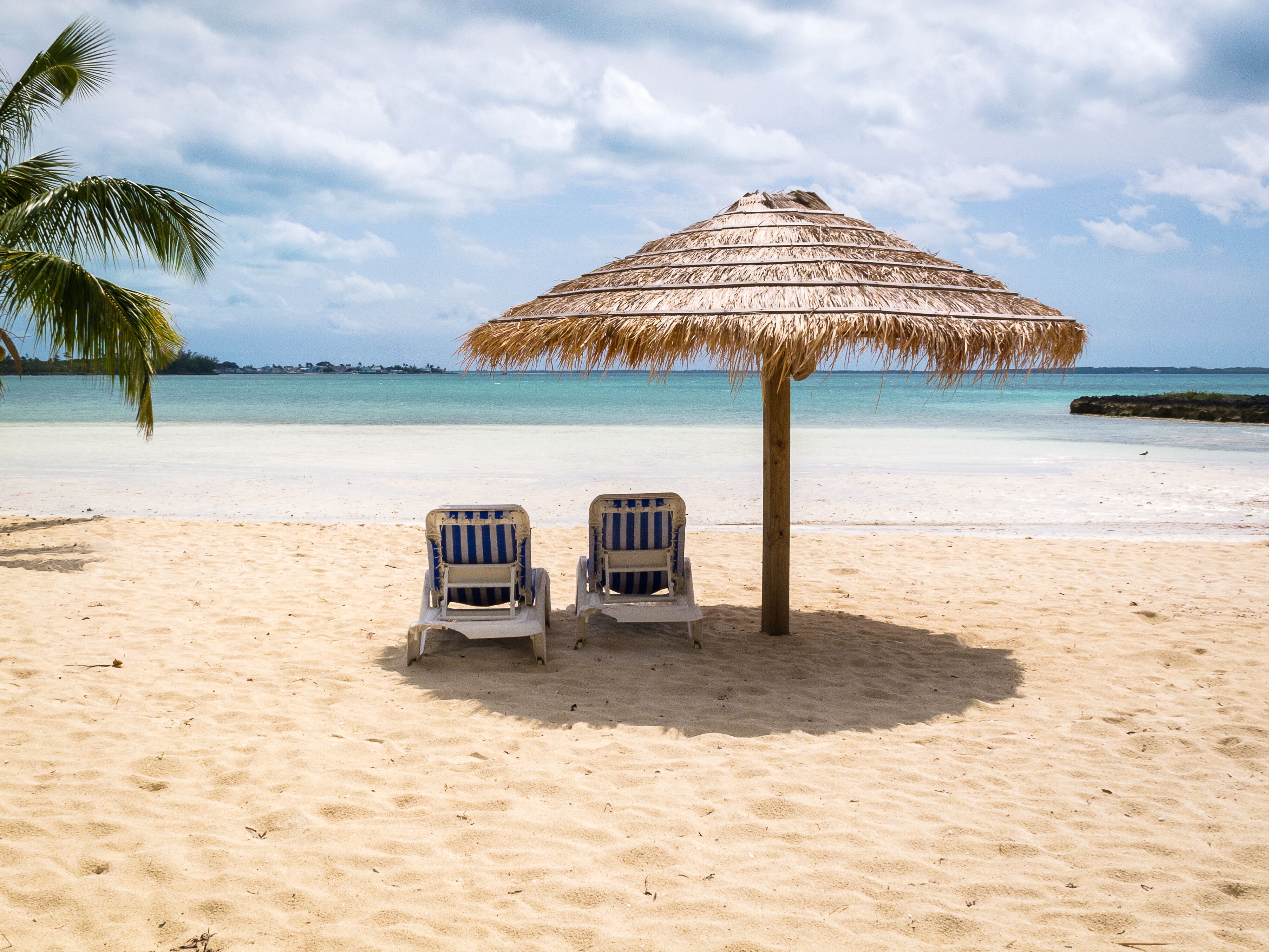 グリーン タートル ケイ