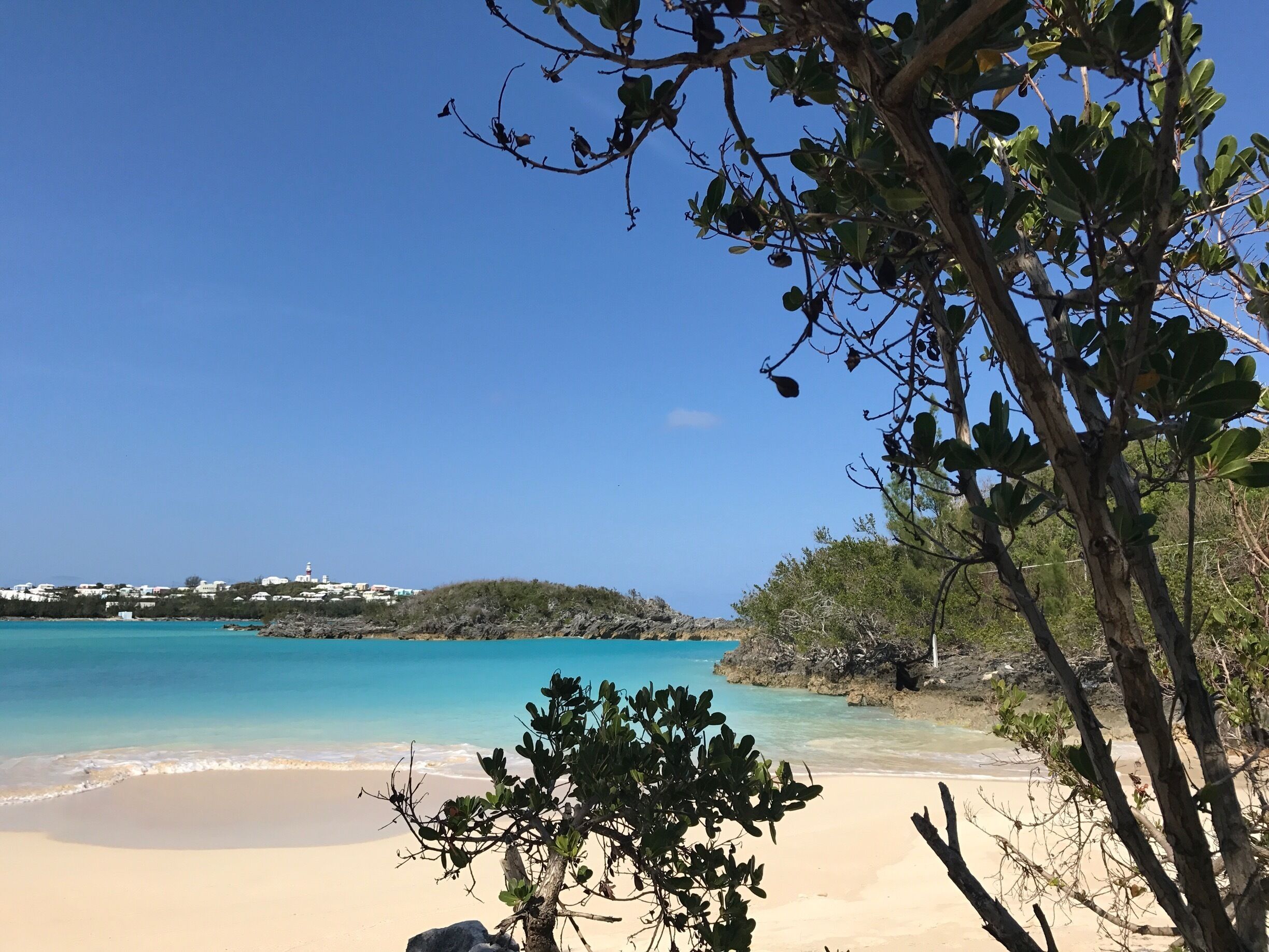 Always an empty beach at coopers island. 