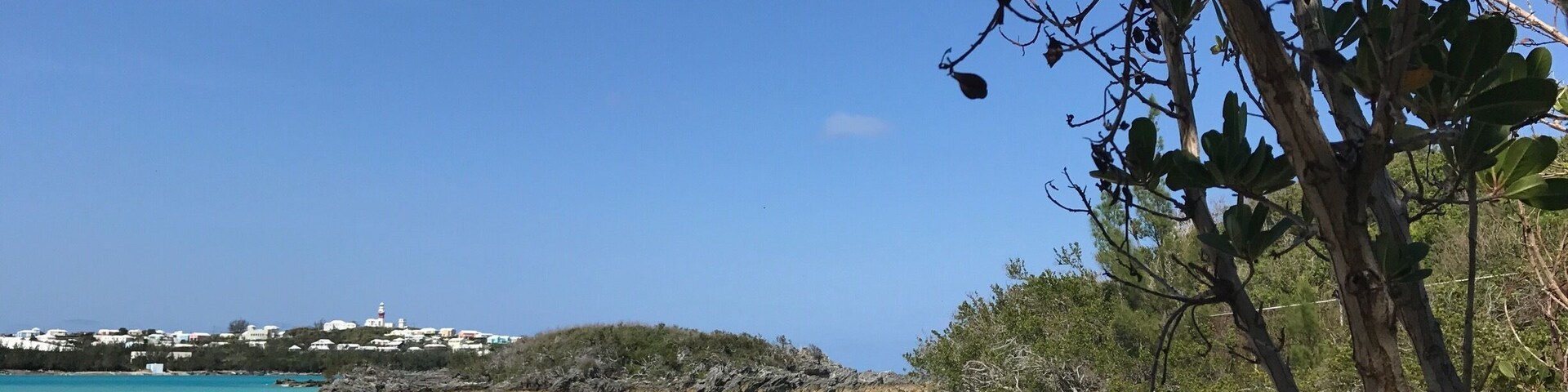 Uma praia com águas turquesa cristalinas, areal arenoso e uma árvore em primeiro plano.