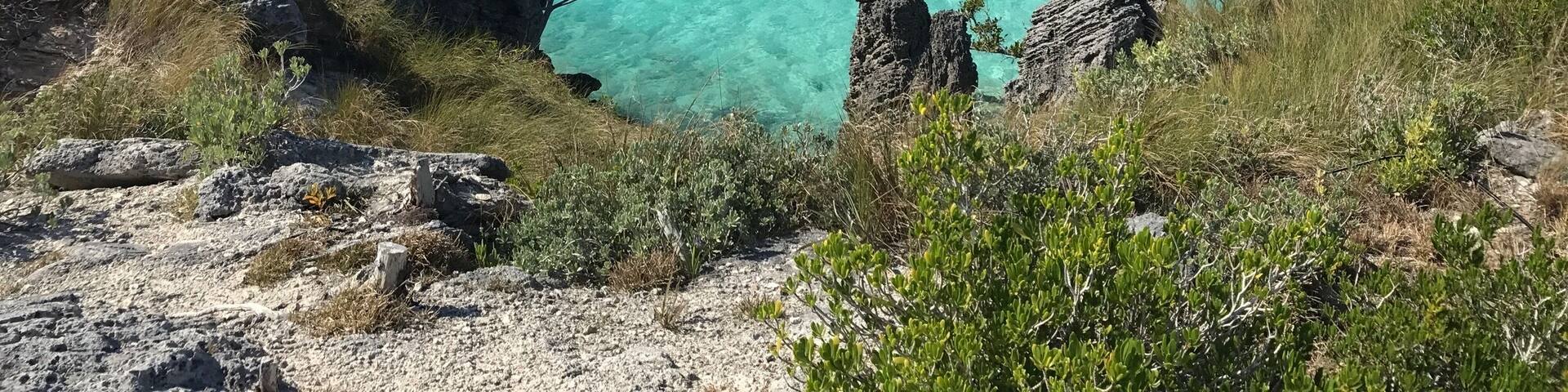 Always an empty beach at coopers island