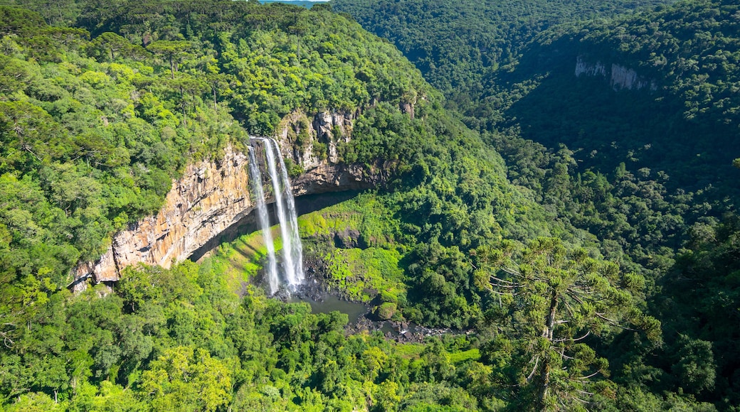 Beautiful view of Caracol Waterfall, Canela, Rio Grande do Sul - Brazil