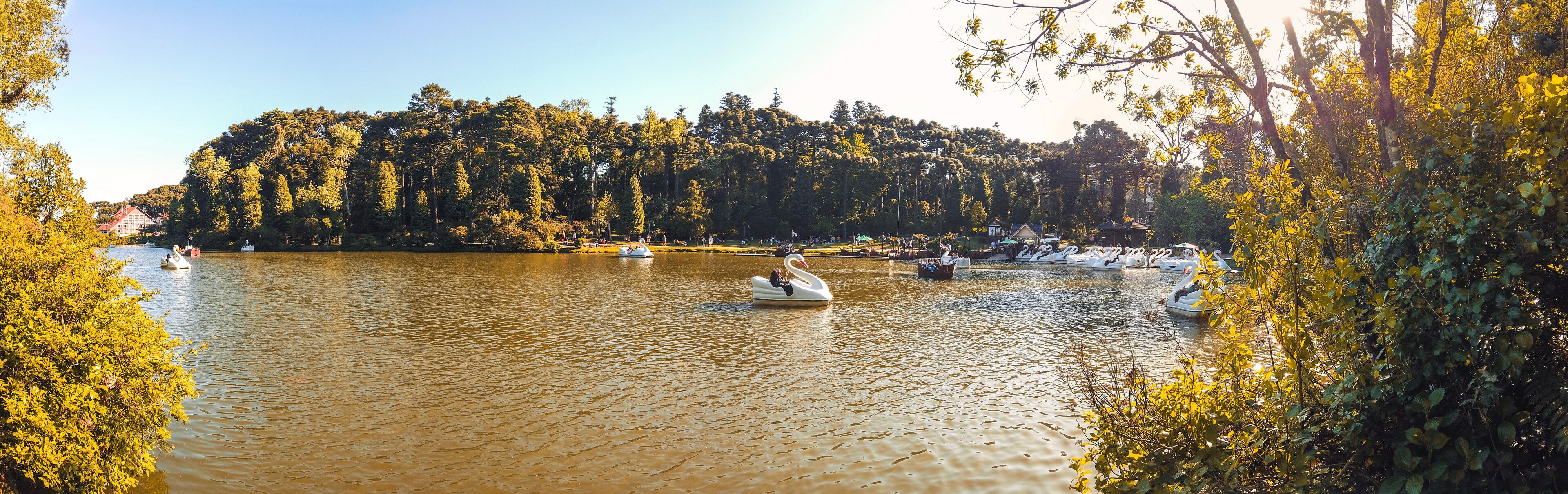 Un río tranquilo con barcos, rodeado de árboles frondosos y un cielo despejado.